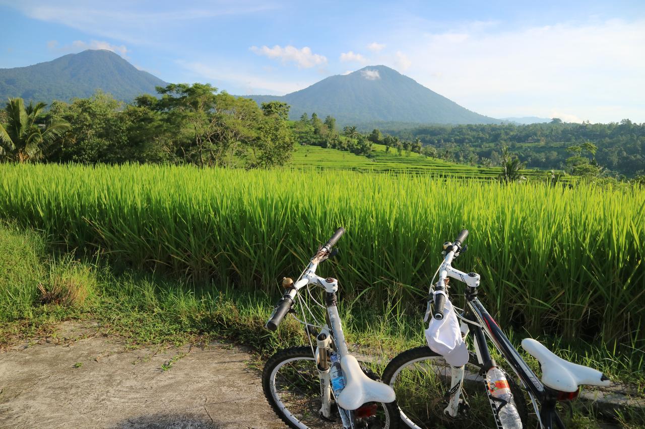 Sang Giri Mountain Tent Resort By Ahm Jatiluwih Esterno foto